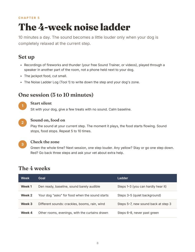 Inside page: the 4-week noise ladder